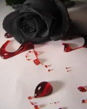 Roses noires