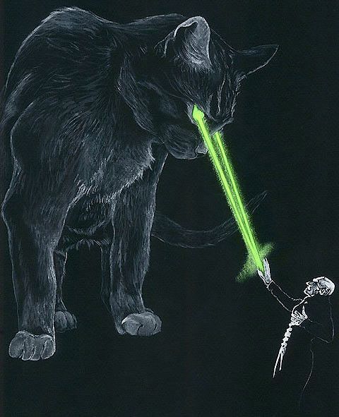 Chat noir .