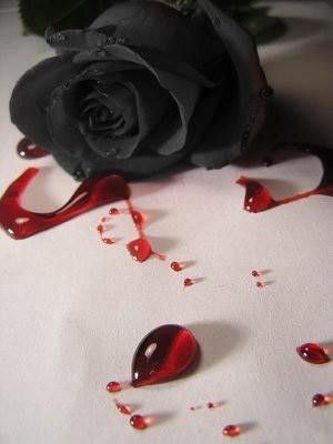 Roses noires